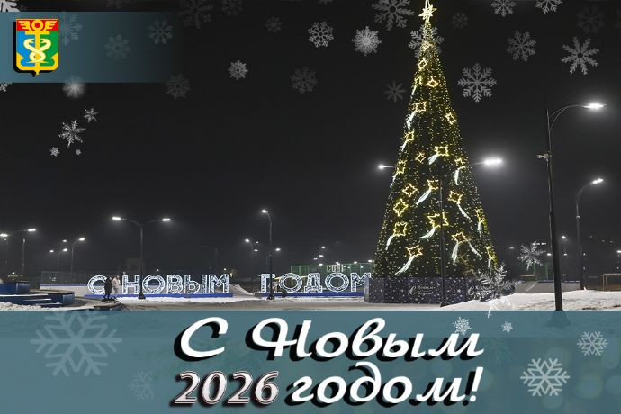 Поздравление главы Находкинского городского округа Т.В. Магинского с наступающим ...
